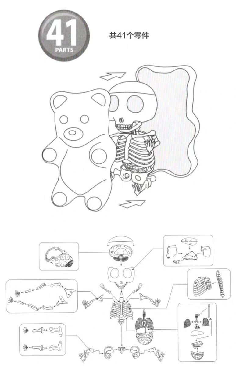 零元拍：4D Master 拼装透视骨骼内脏解剖软糖大熊。高约21厘米