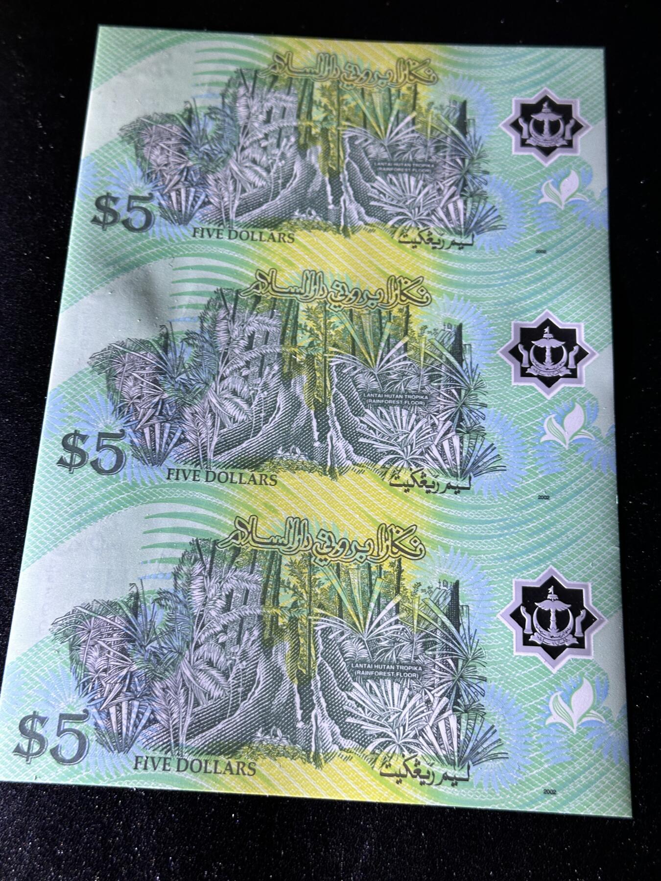 《外钞收藏家》第三百八十八期 文莱5林吉特 三联体 全新