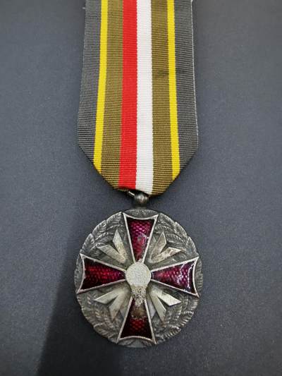 老王徽章第四十七期 - 波兰二战陆军奖章   银级