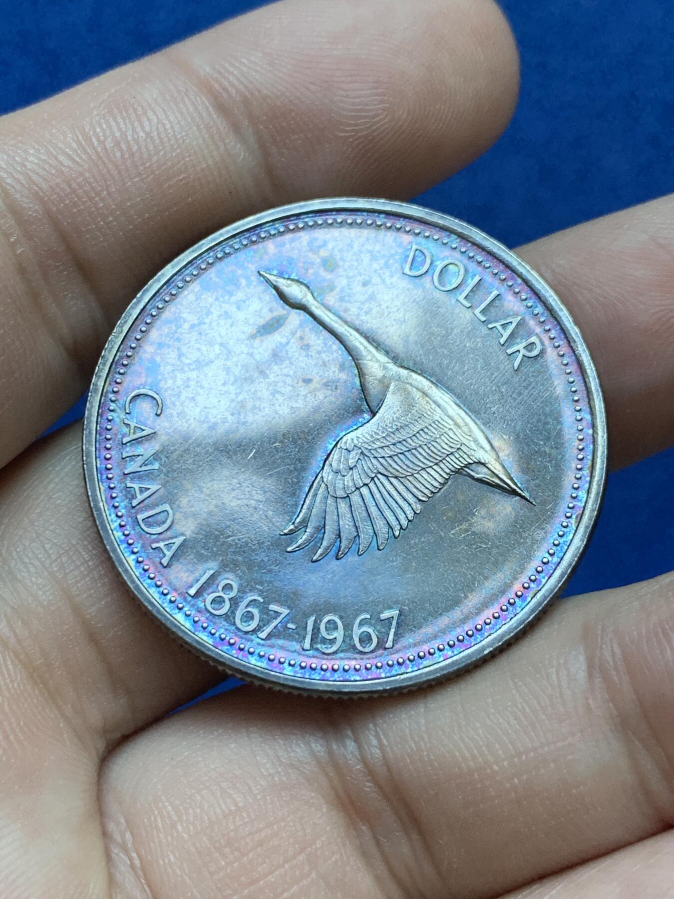 《竞宝斋》第287场-周六， 周日，周一 3场连拍 （全场包邮） 加拿大1967年天鹅1元银币