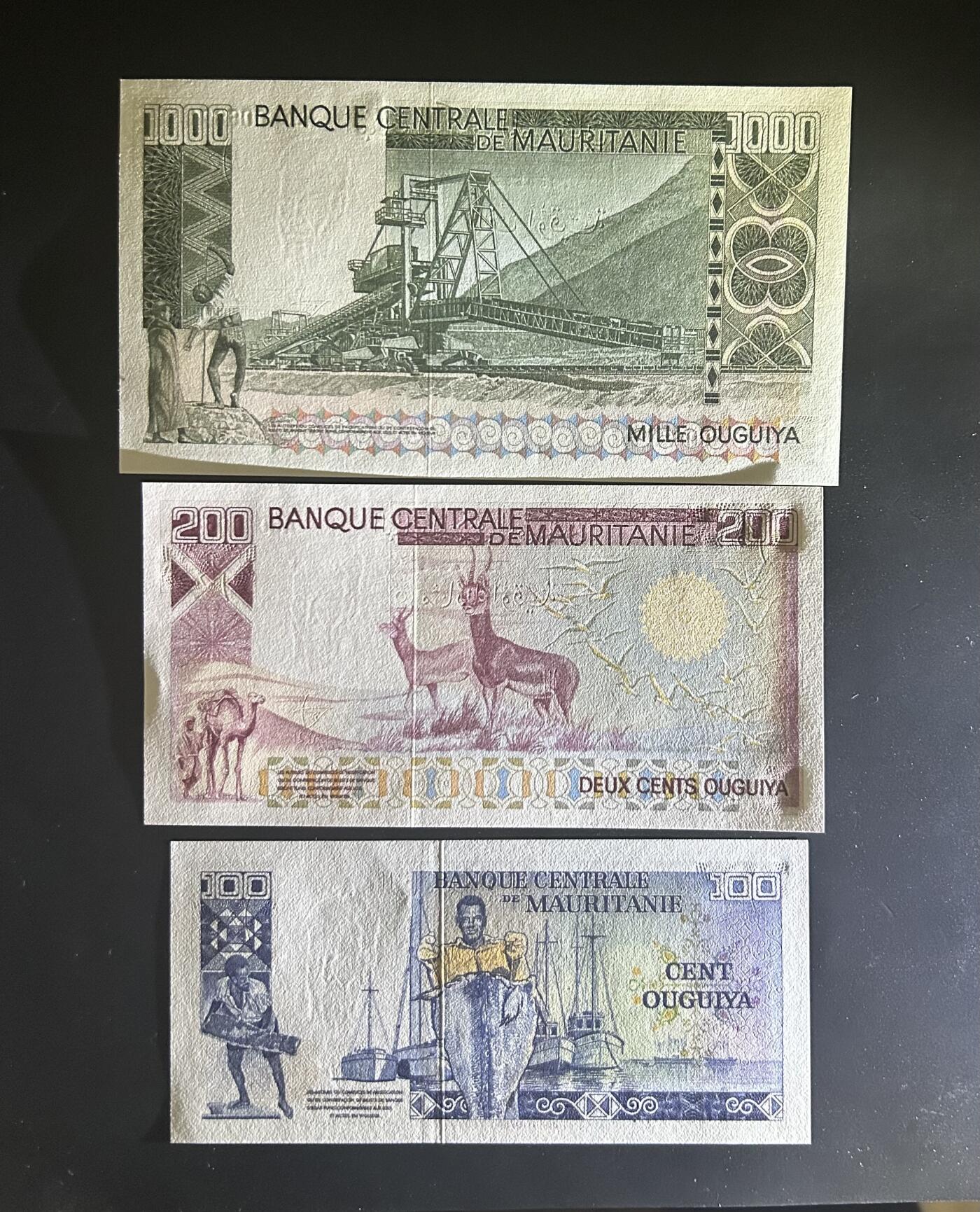 【丑猫0714】今晚7点，自动快拍 毛里塔尼亚三张全同unc(无47)