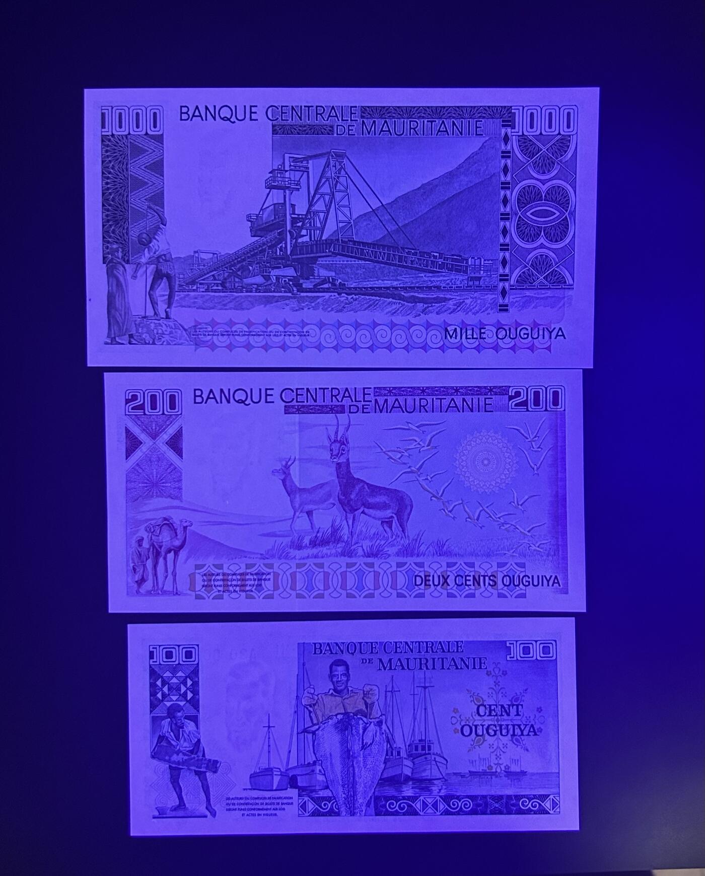 【丑猫0714】今晚7点，自动快拍 毛里塔尼亚三张全同unc(无47)