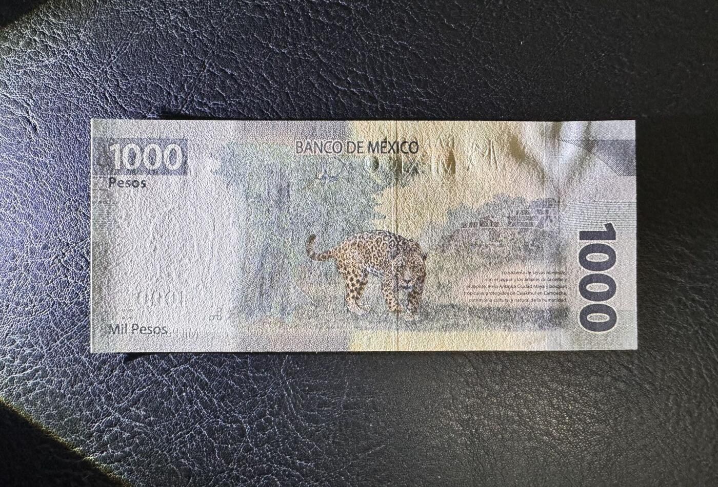 收藏联盟Quantum Auction 第359期拍卖  墨西哥2019年1000比索 品相全新UNC AA首发冠 墨西哥第三十三总统马克罗