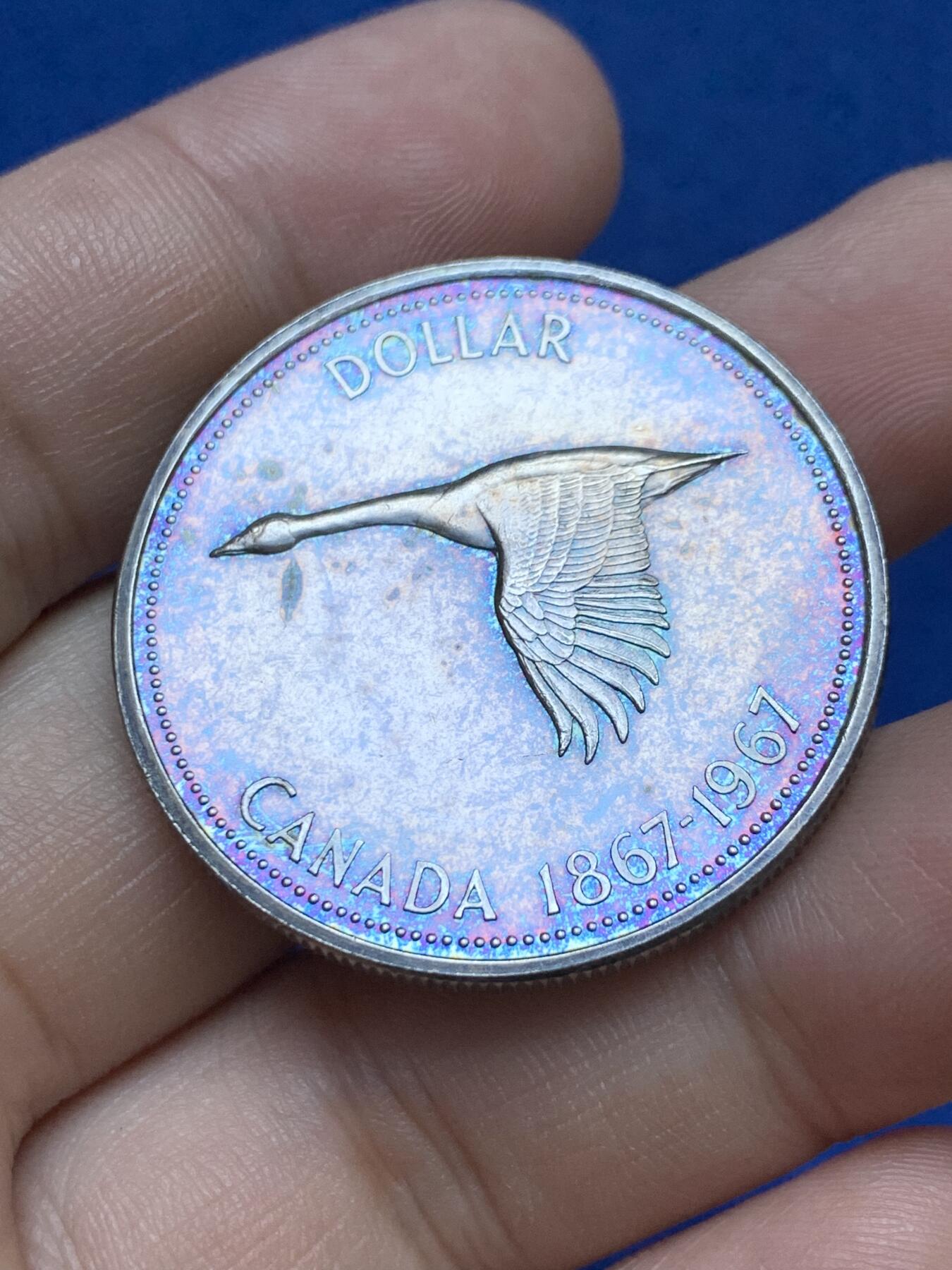 《竞宝斋》第287场-周六， 周日，周一 3场连拍 （全场包邮） 加拿大1967年天鹅1元银币