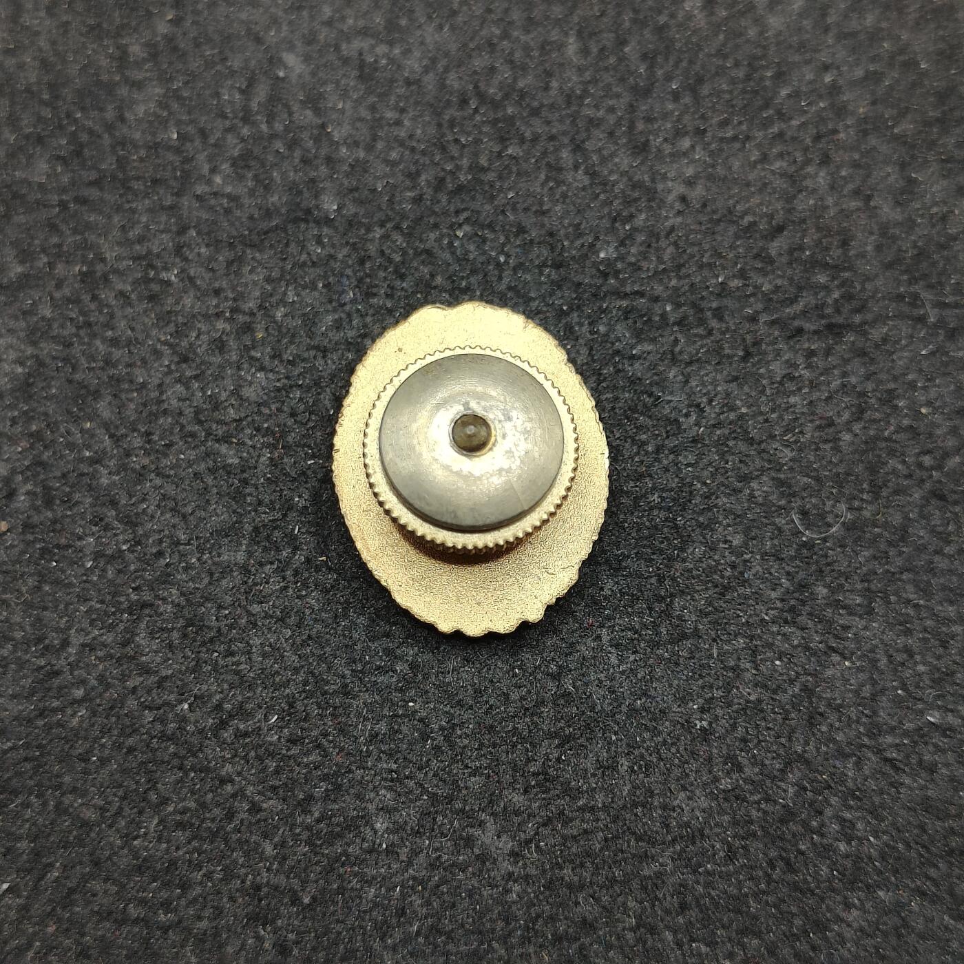 全场0元起拍 第172期 咸鱼国勋章拍卖专场 7月10日（周三）下午6：00开始 日本警察功劳章 金级