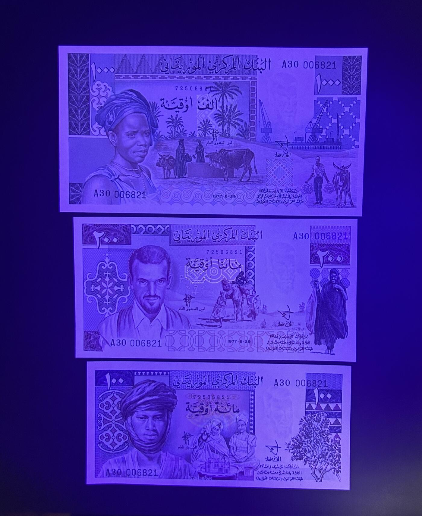 【丑猫0714】今晚7点，自动快拍 毛里塔尼亚三张全同unc(无47)