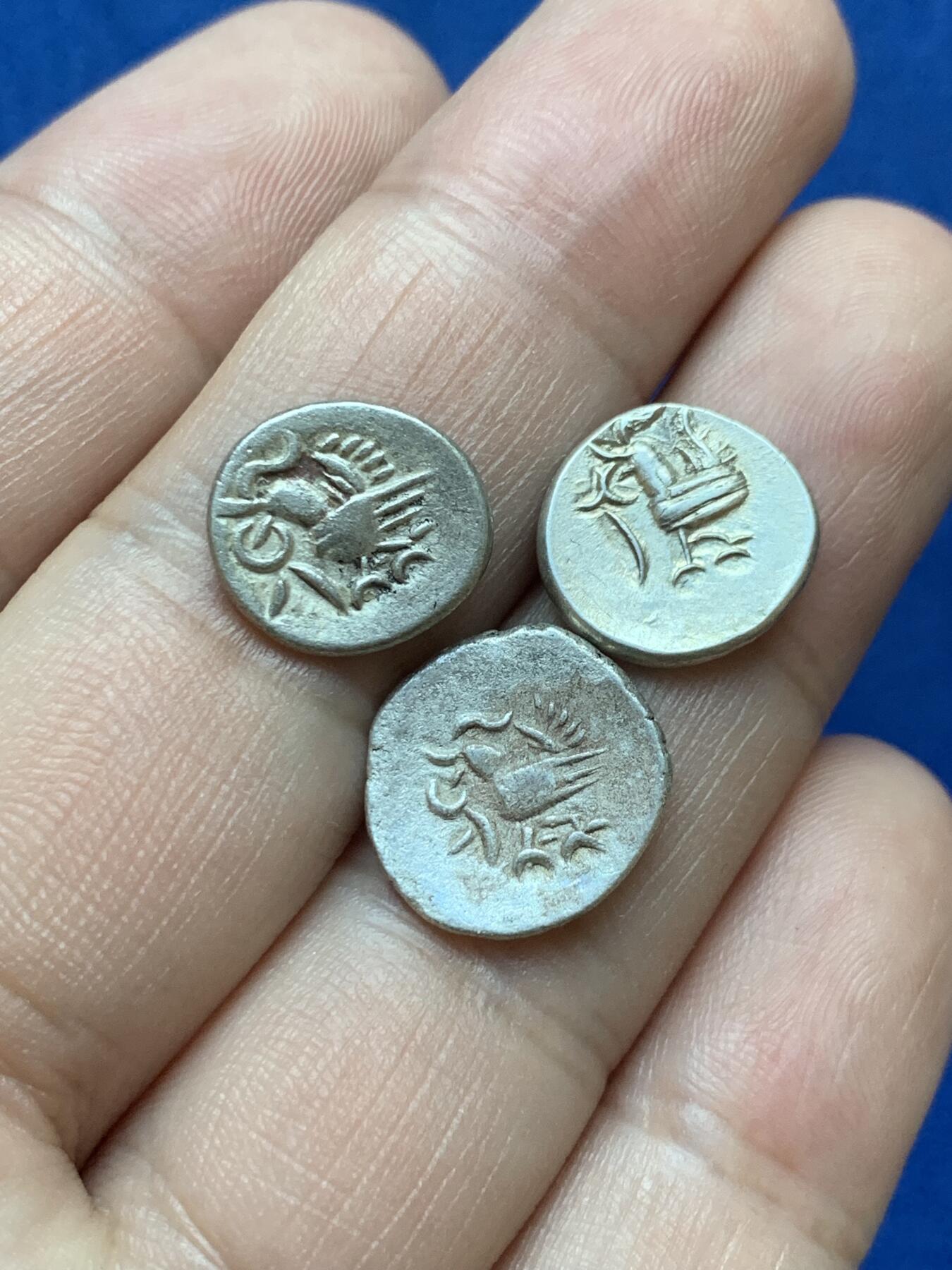 《竞宝斋》第287场-周六， 周日，周一 3场连拍 （全场包邮） 3枚一组 柬埔寨小鸟银币