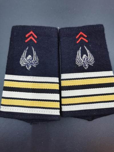 老王徽章第四十七期 - 法国陆军铁路运输团中校肩章