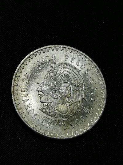 臻藏泉阁国内外钱币 - 墨西哥印第安人酋长银币