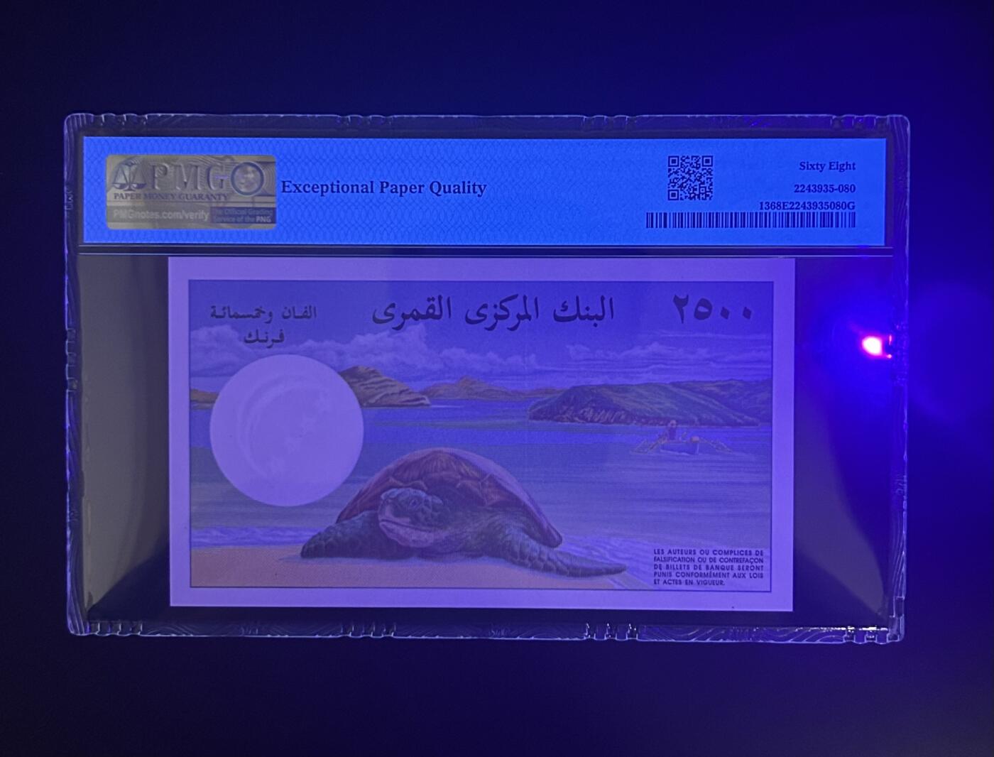 【丑猫0714】今晚7点，自动快拍 科摩罗大海龟unc【冠军分】