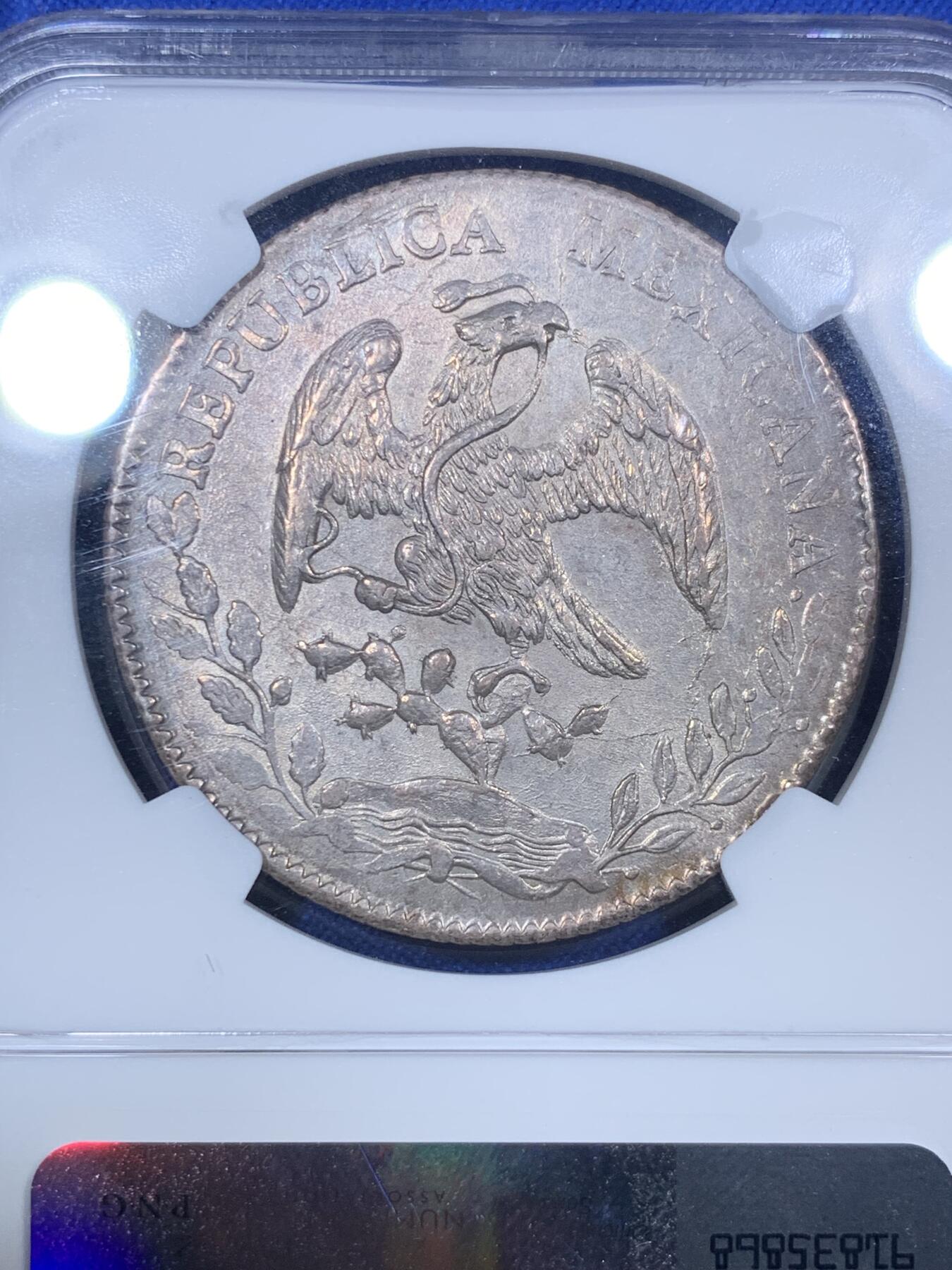 《竞宝斋》第288场-周六， 周日，周一 3场连拍 （全场包邮） NGC MS61 墨西哥1885年花边鹰洋8R 原味淡灰包浆 比白币多几分厚重