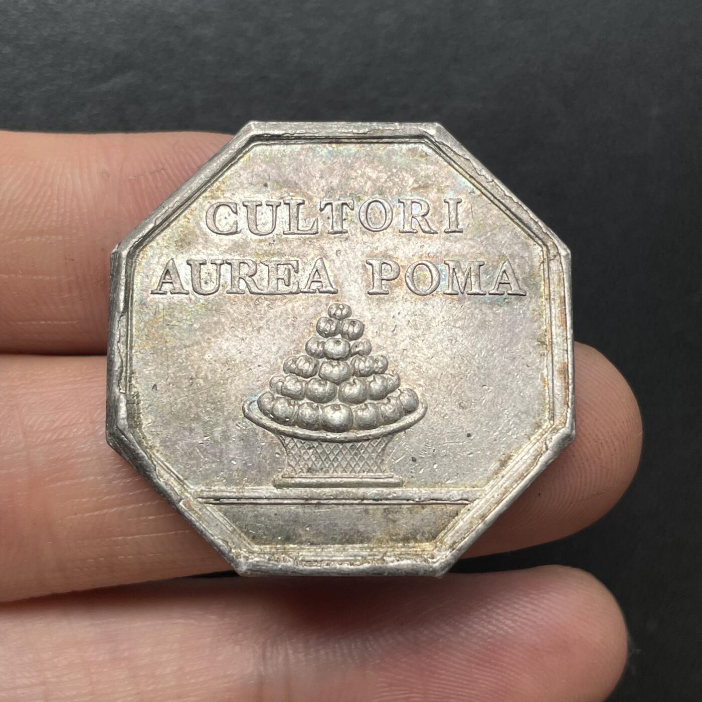 「木头集藏」章牌精品专场！ 1792年法国水果商银奖章   直径：32 mm，12.5 g，早期无边铭版本，图案刻画橘子树，彩色氧化。