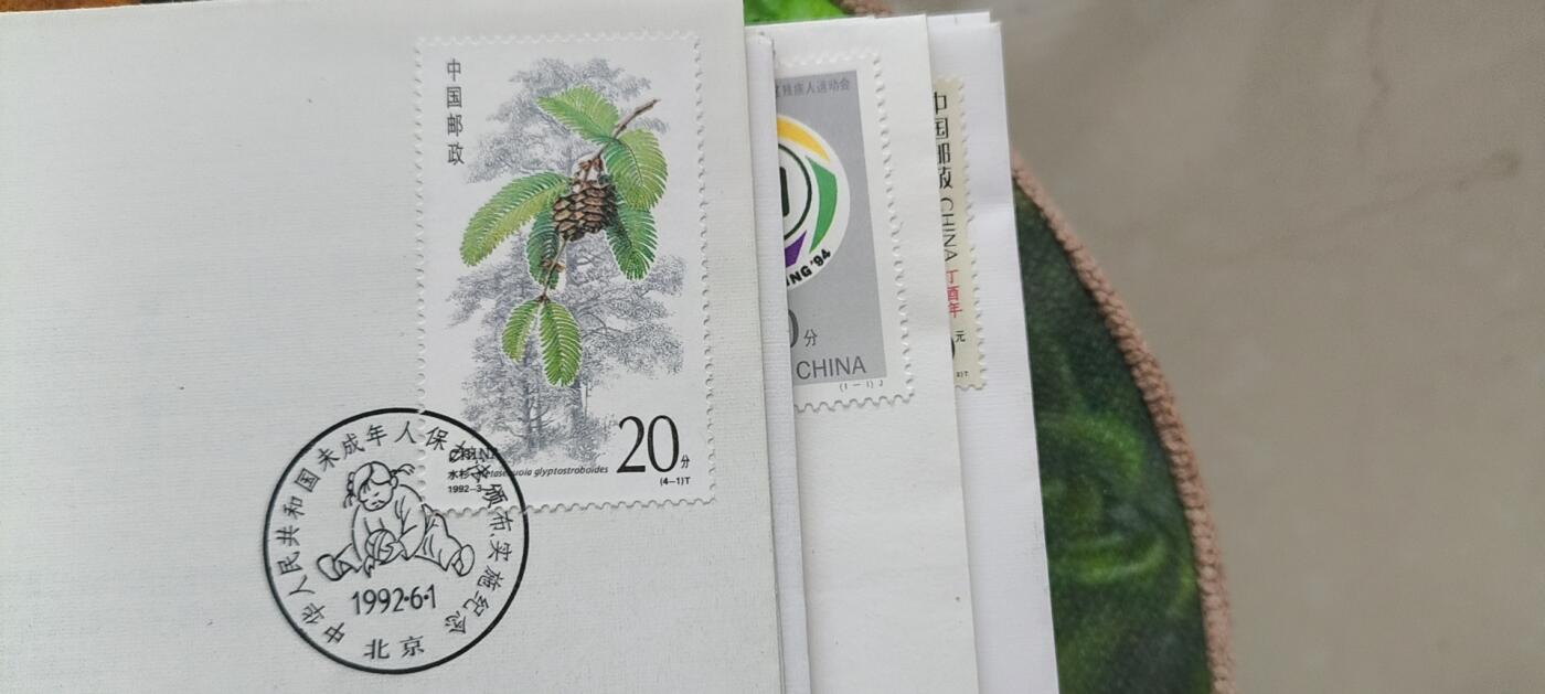0起加1，放漏 1992 年，中华人民共和国未成年人保护法