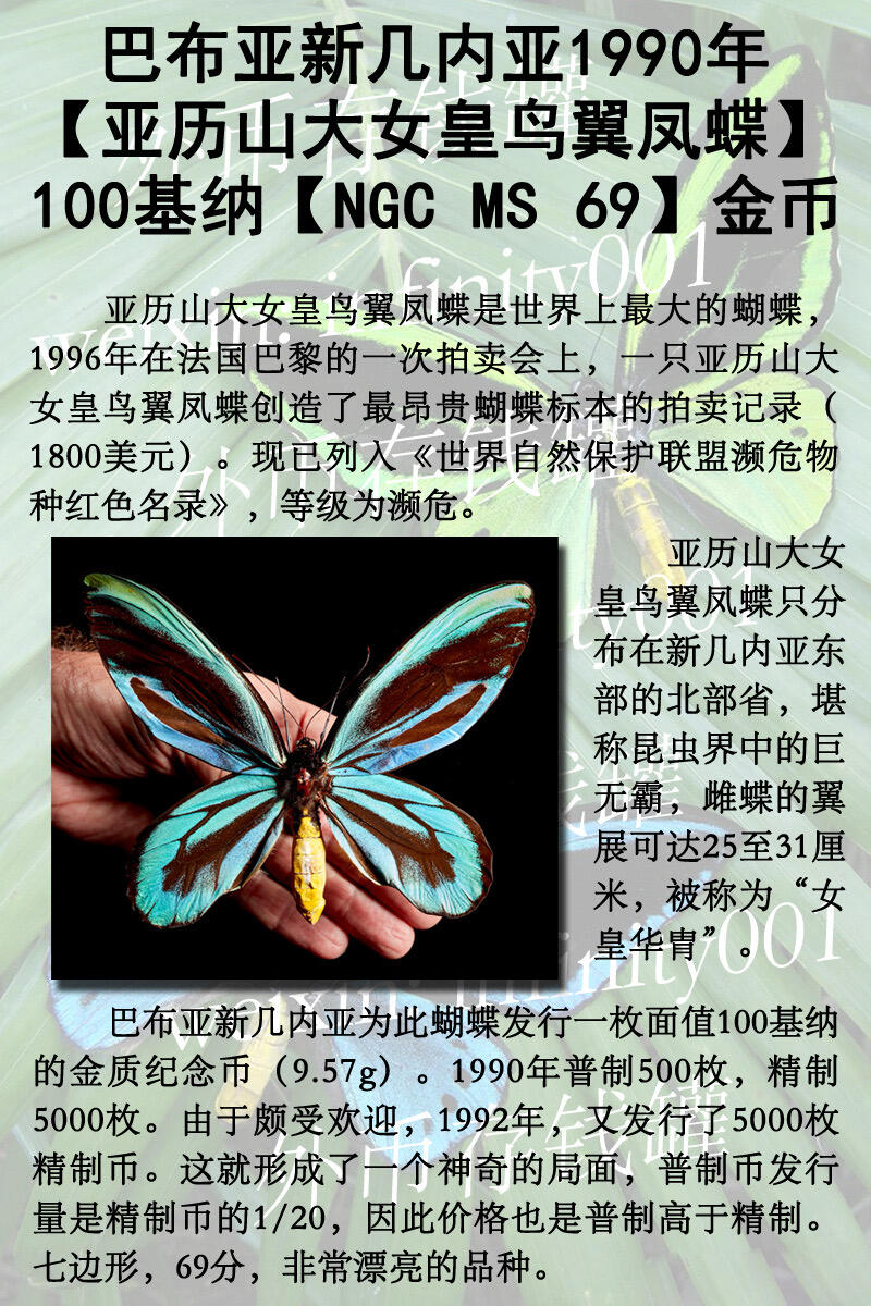 巴布亚新几内亚1990年【亚历山大女皇鸟翼凤蝶】100基纳【NGC MS 69】金币
