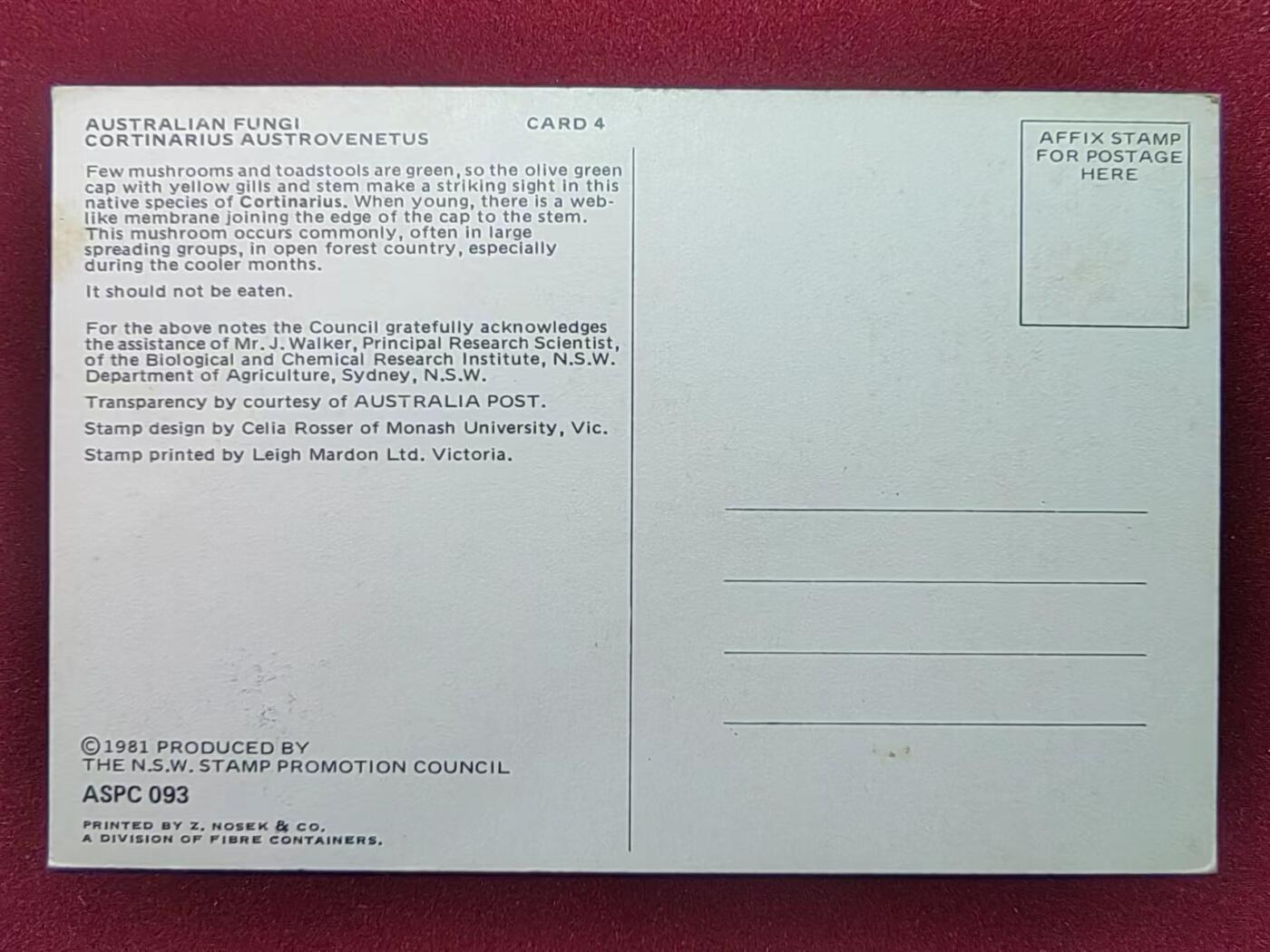 联合阁邮币社™ ——“多国明信片专场” 草菇