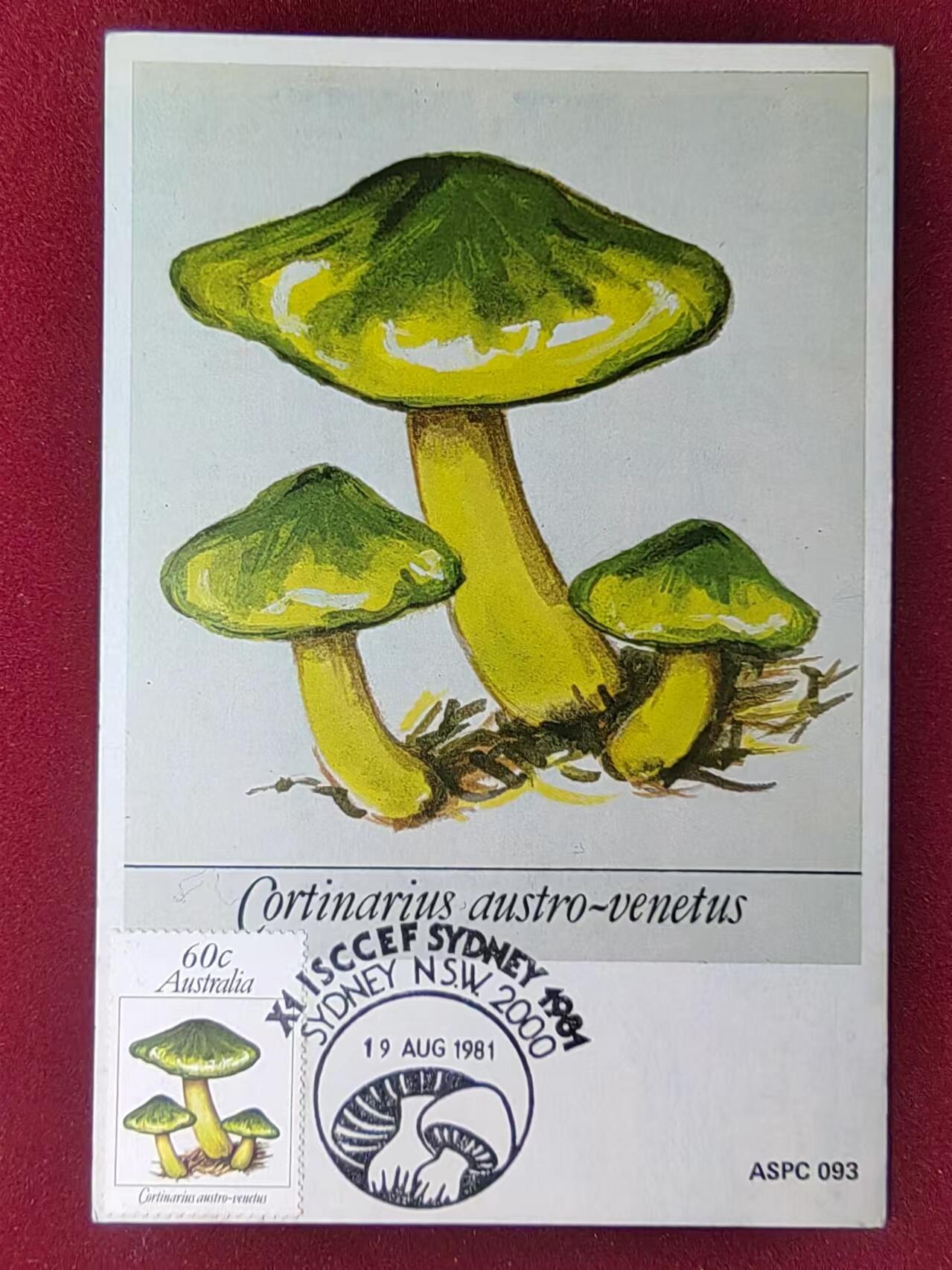 联合阁邮币社™ ——“多国明信片专场” 草菇