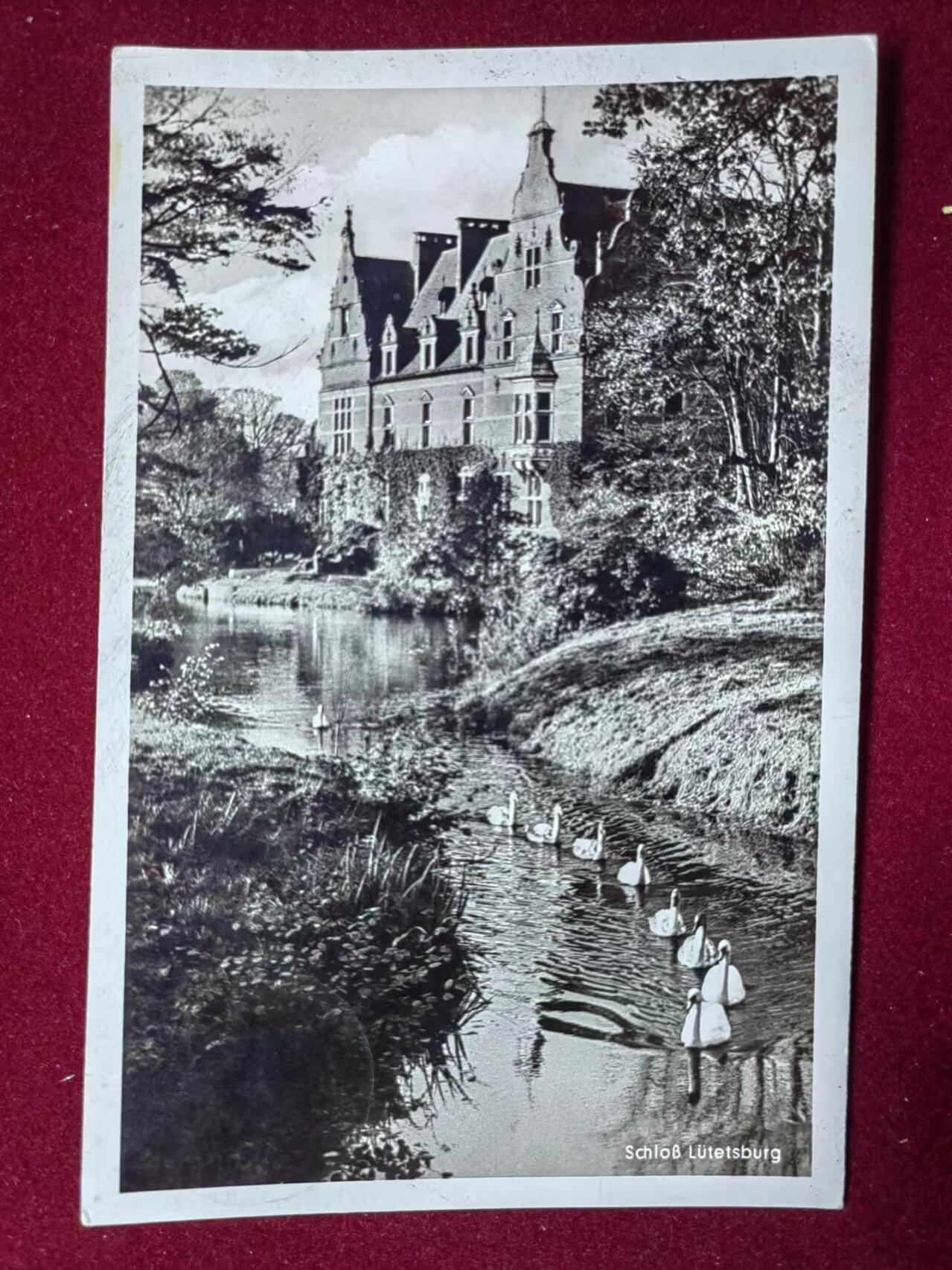 联合阁邮币社™ ——“多国明信片专场” 天鹅的小湖