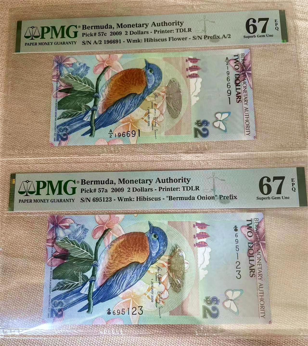 【Blue Auction】✨世界纸币精拍第502期【精】 【一组2张 获奖钞 洋葱冠无47 及倒置号】百慕大 2009年2元 蓝鸟 PMG67EPQ 