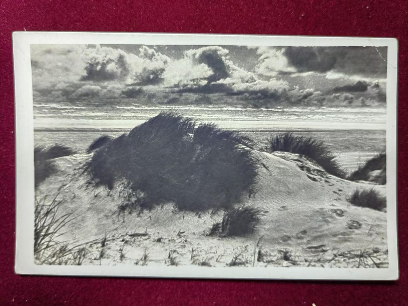 联合阁邮币社™ ——“多国明信片专场” 军邮片