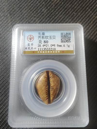 勋章钱币专场 - 齐国石贝币