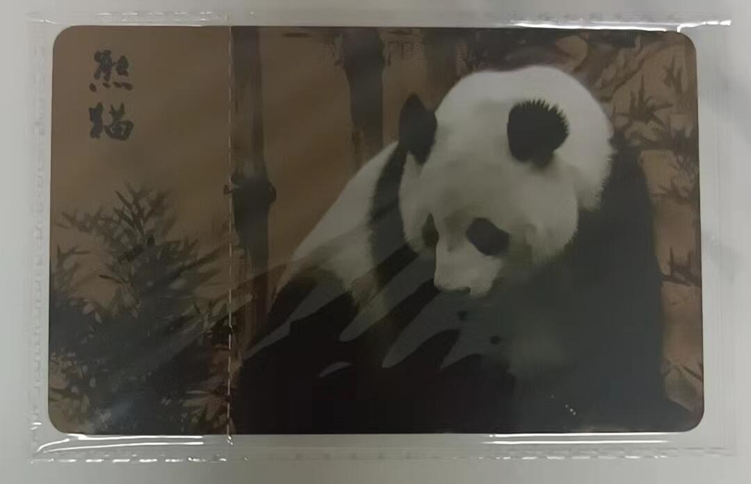 IC-2010ns25熊猫