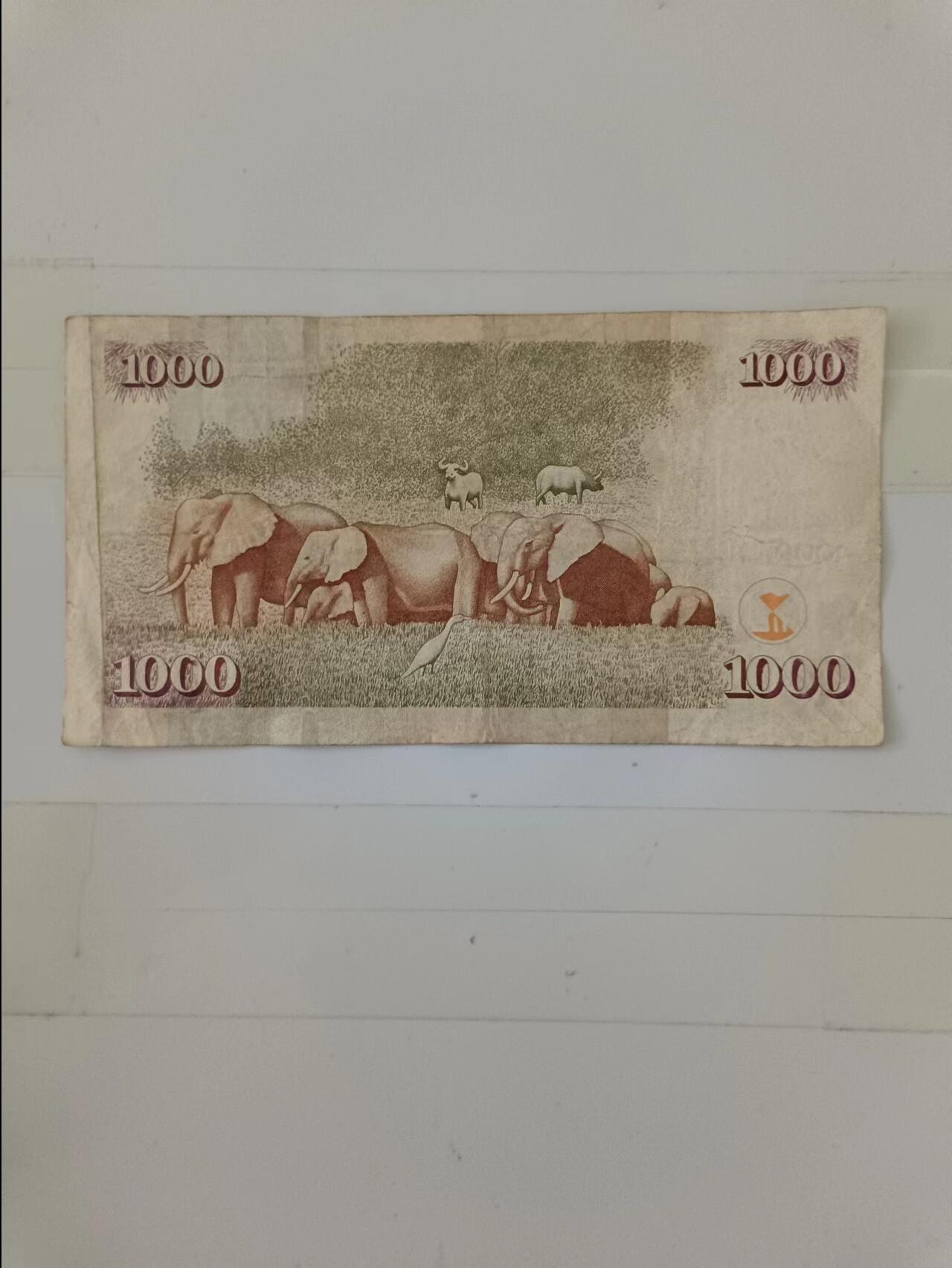 【20240714】非全新纸币第150场 肯尼亚1000先令