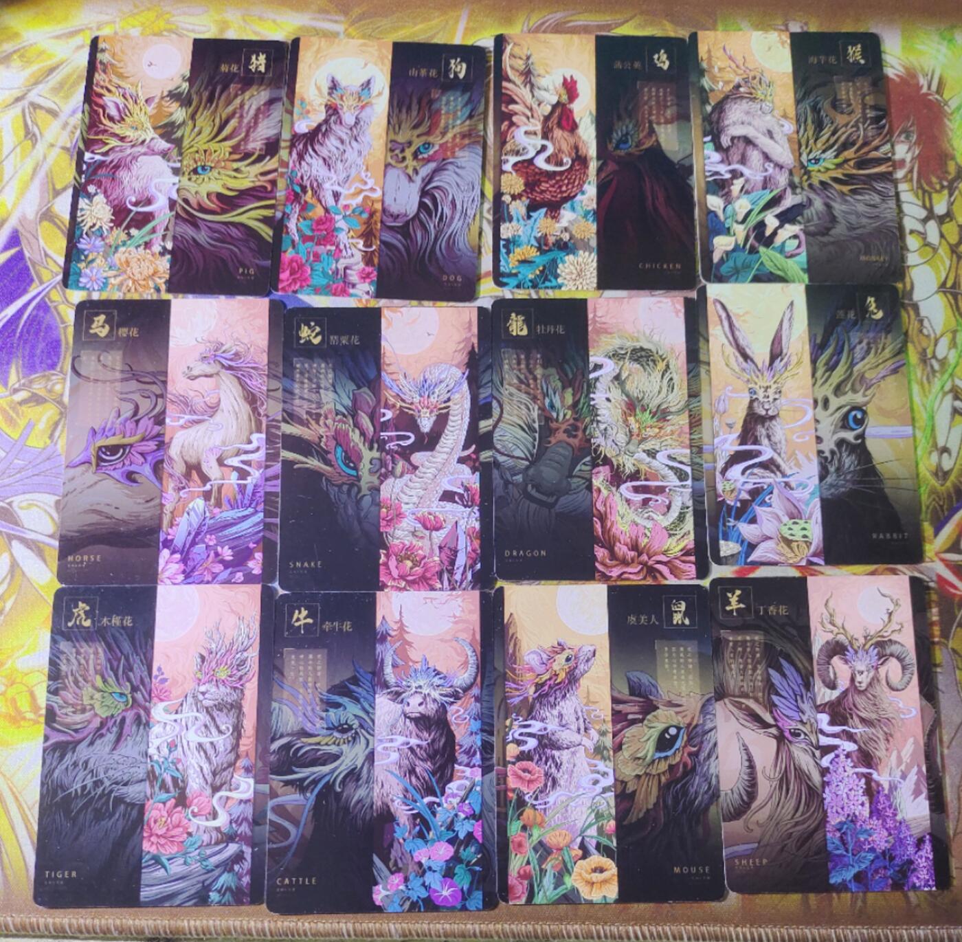 天玑星卡拍第四十二期《好多卡呀》持续收拍中