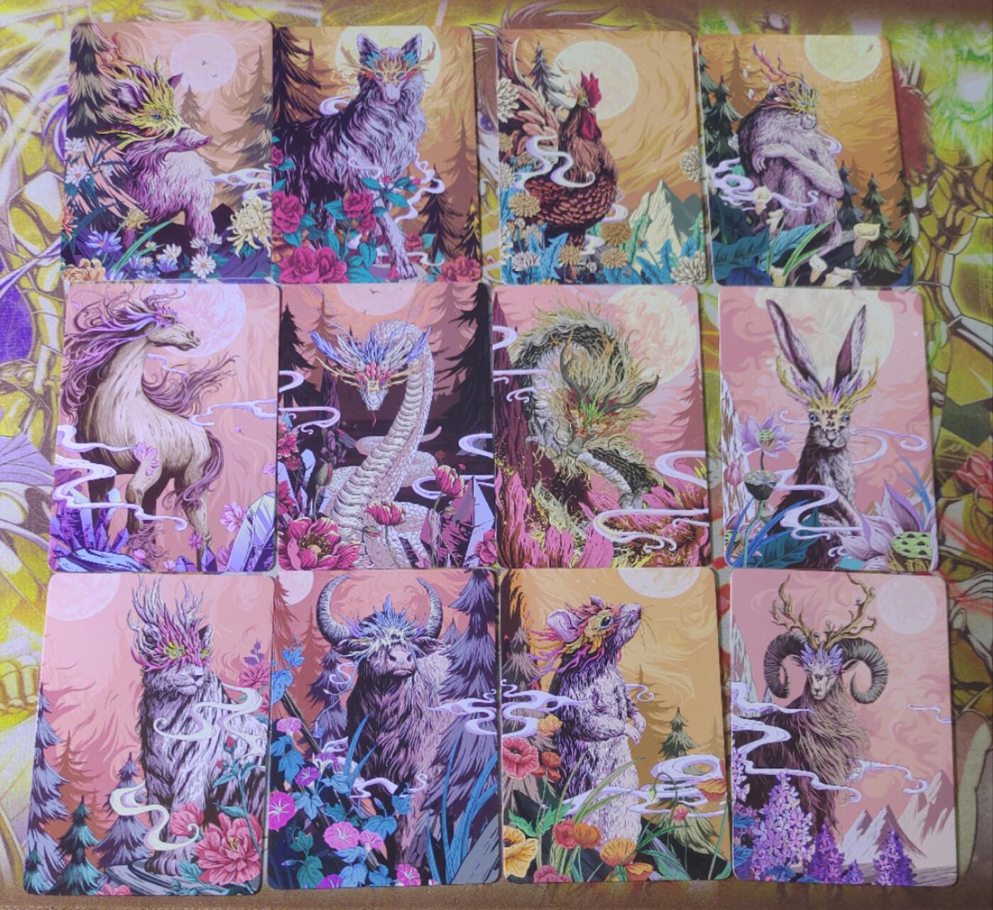 天玑星卡拍第四十二期《好多卡呀》持续收拍中