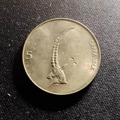 20240711 斯洛文尼亚