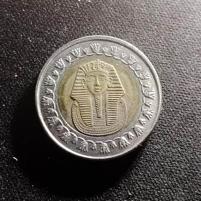 20240711 埃及硬币