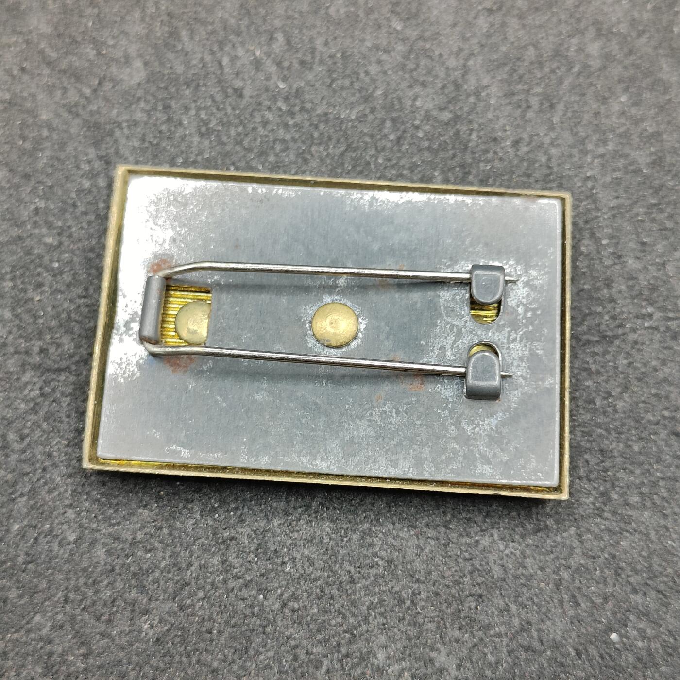 全场0元起拍 第173期 咸鱼国勋章拍卖专场 7月14日（周日）下午6：00开始 消防团最高阶级，消防团团长阶级章