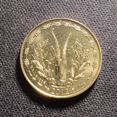 20240711 西非5法郎