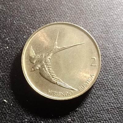 20240711 斯洛文尼亚