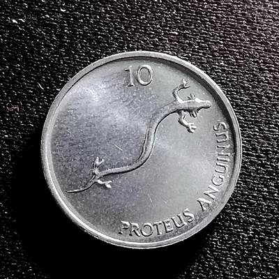 20240711 斯洛文尼亚