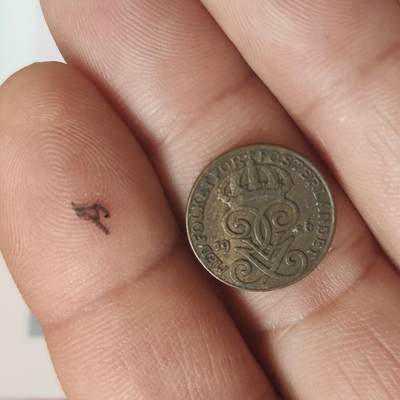 英雄古币捡漏专场第一期无押金可累计捡漏，全场50包邮，偏远地区除外。 - 瑞典