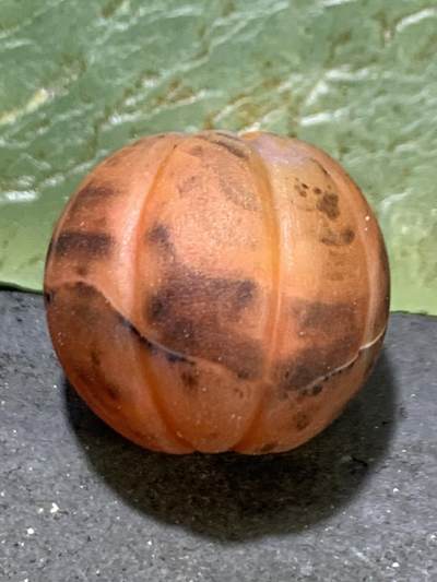 精美亚光缠丝玛瑙雕刻瓜珠一颗， 精美亚光缠丝玛瑙雕刻瓜珠一颗，