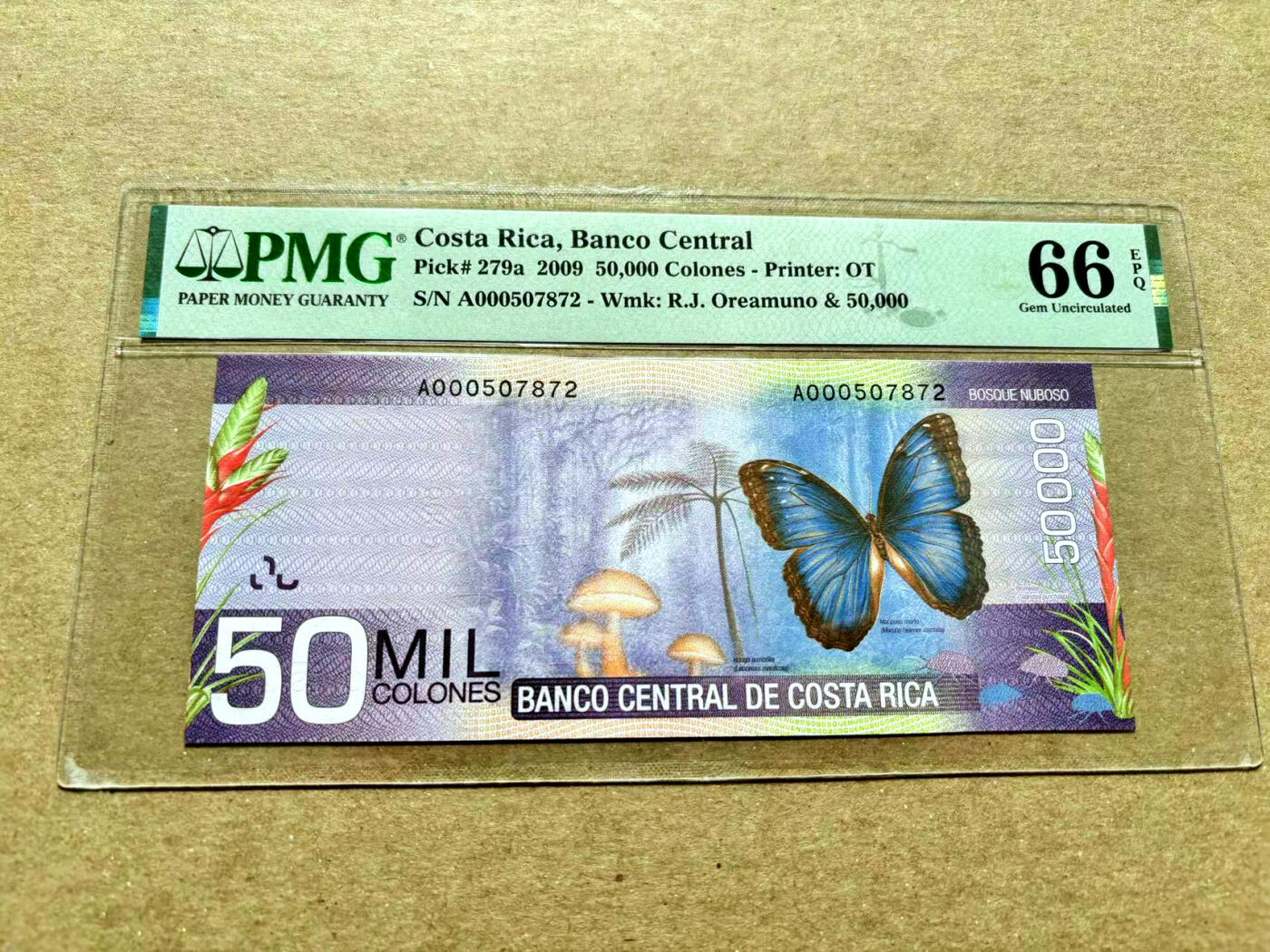 【Blue Auction】✨世界纸币精拍第504期【精】 哥斯达黎加 2009年50000克朗 紫蝶 PMG66EPQ A冠