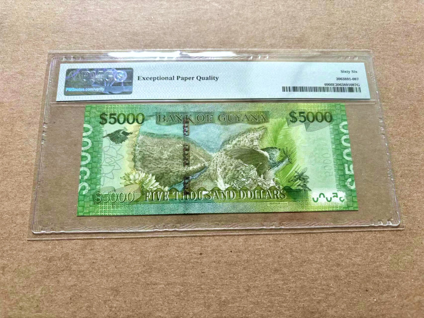 【Blue Auction】✨世界纸币精拍第504期【精】 圭亚那 2013年5000元 PMG66EPQ 