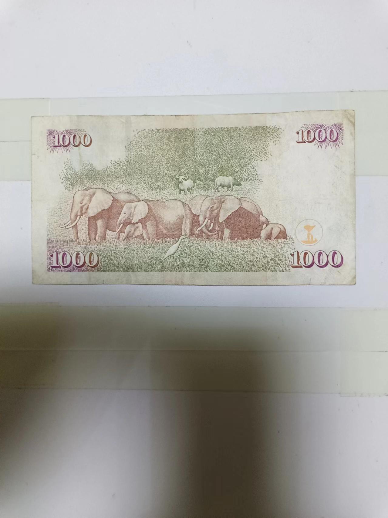 【20240719】非全新纸币第151场 肯尼亚1000先令，尾号663