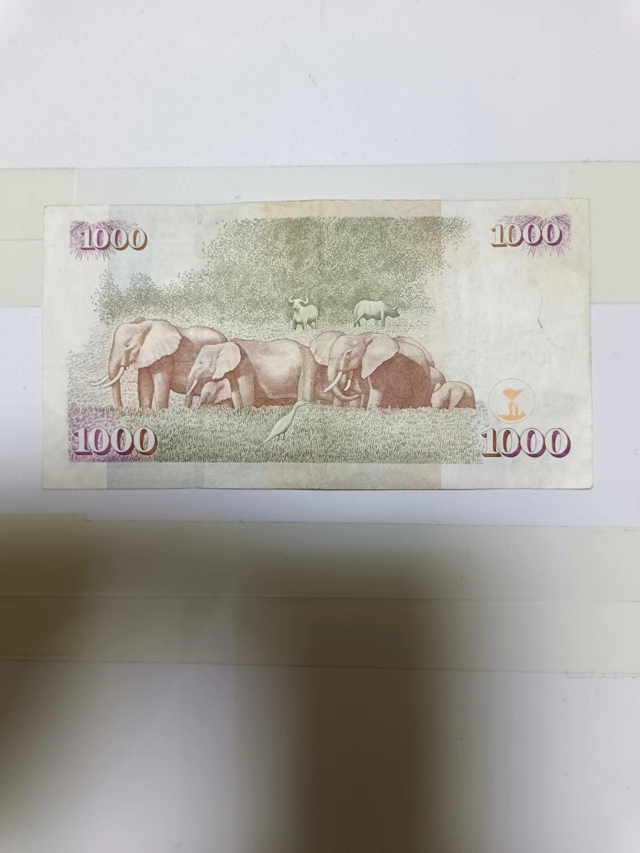 【20240719】非全新纸币第151场 肯尼亚1000先令，尾号890