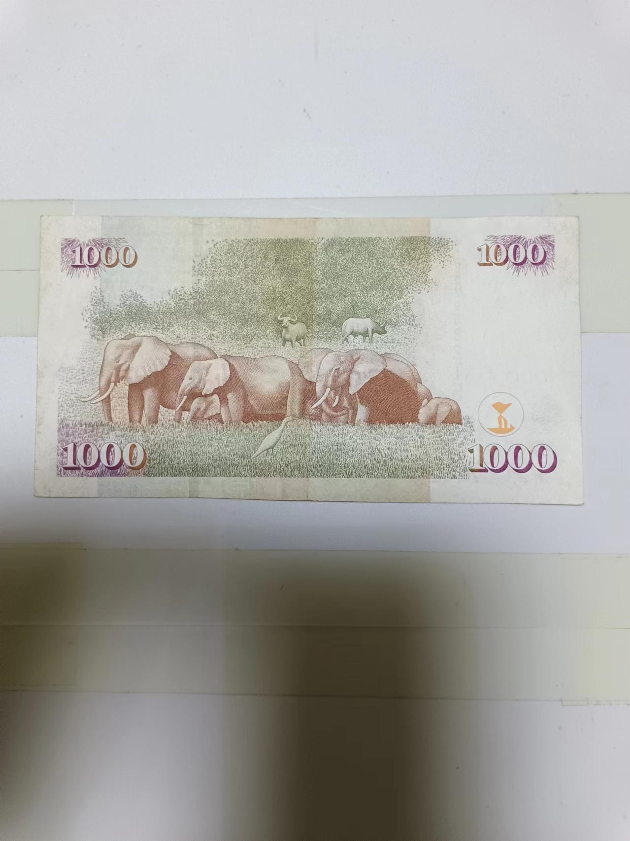 【20240719】非全新纸币第151场 肯尼亚1000先令，尾号215