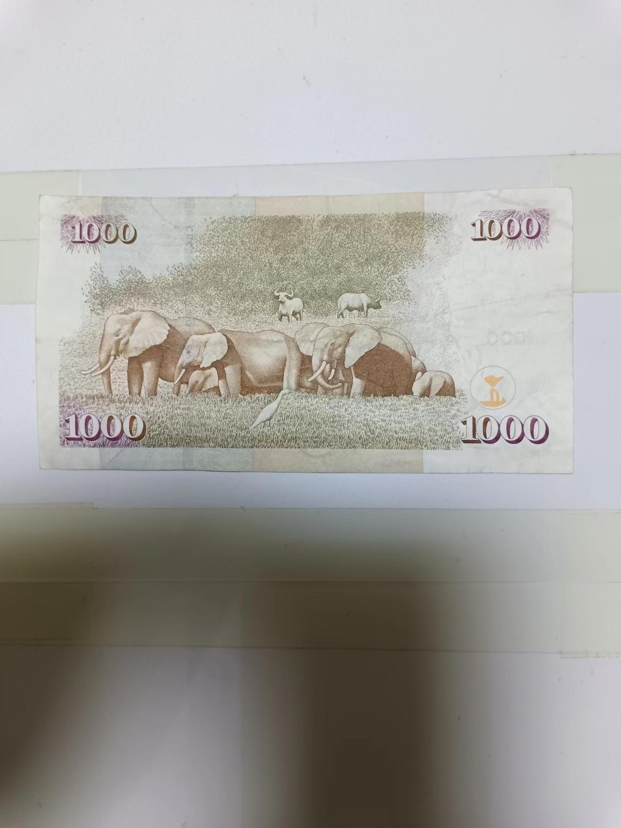 【20240719】非全新纸币第151场 肯尼亚1000先令，尾号647
