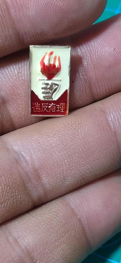 毛主席像章、徽章拍场，都是精品小章 - 🔥🔥🔥🔥火炬徽章，非常少见的版别，可佩戴
