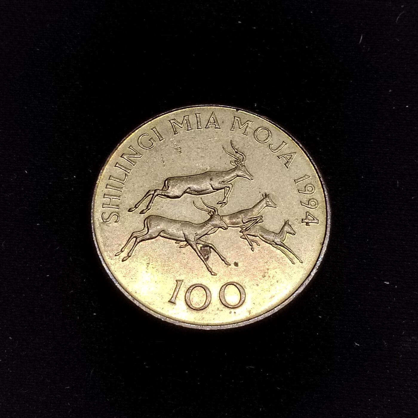20240714 坦桑尼亚