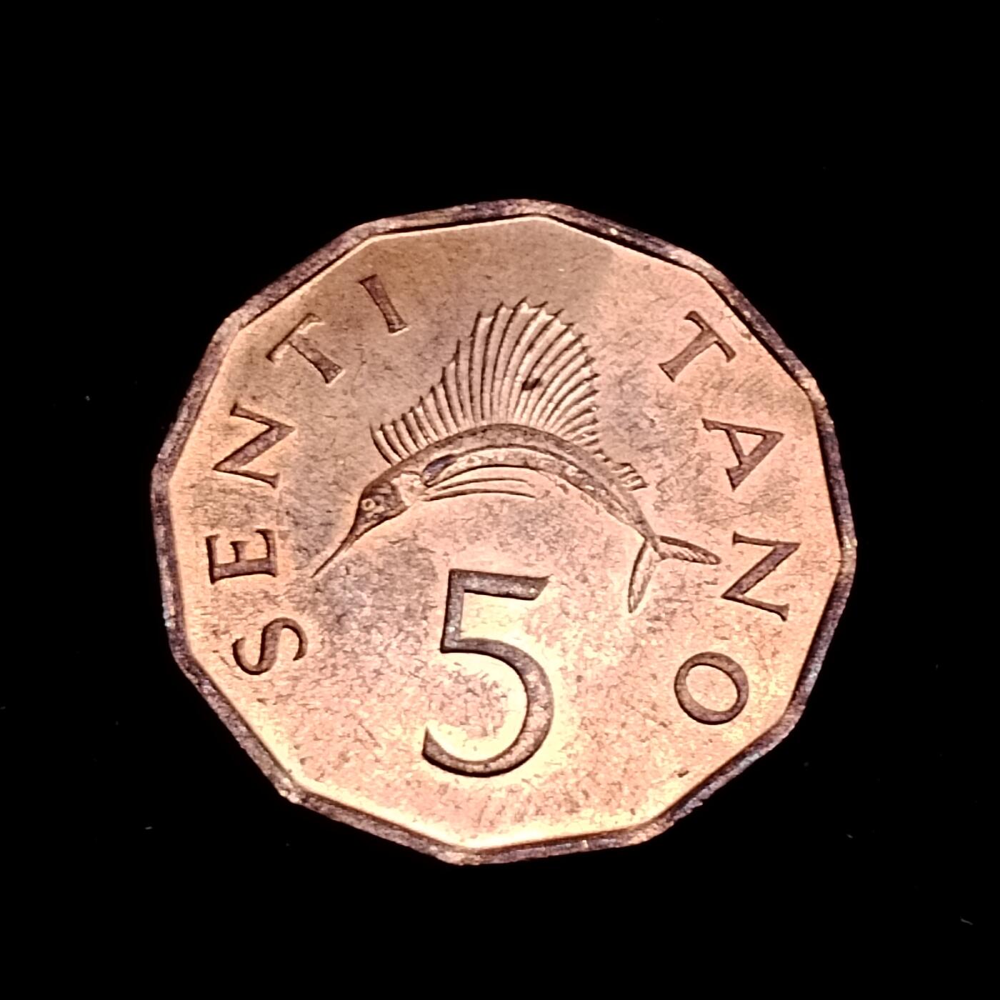 20240714 坦桑尼亚