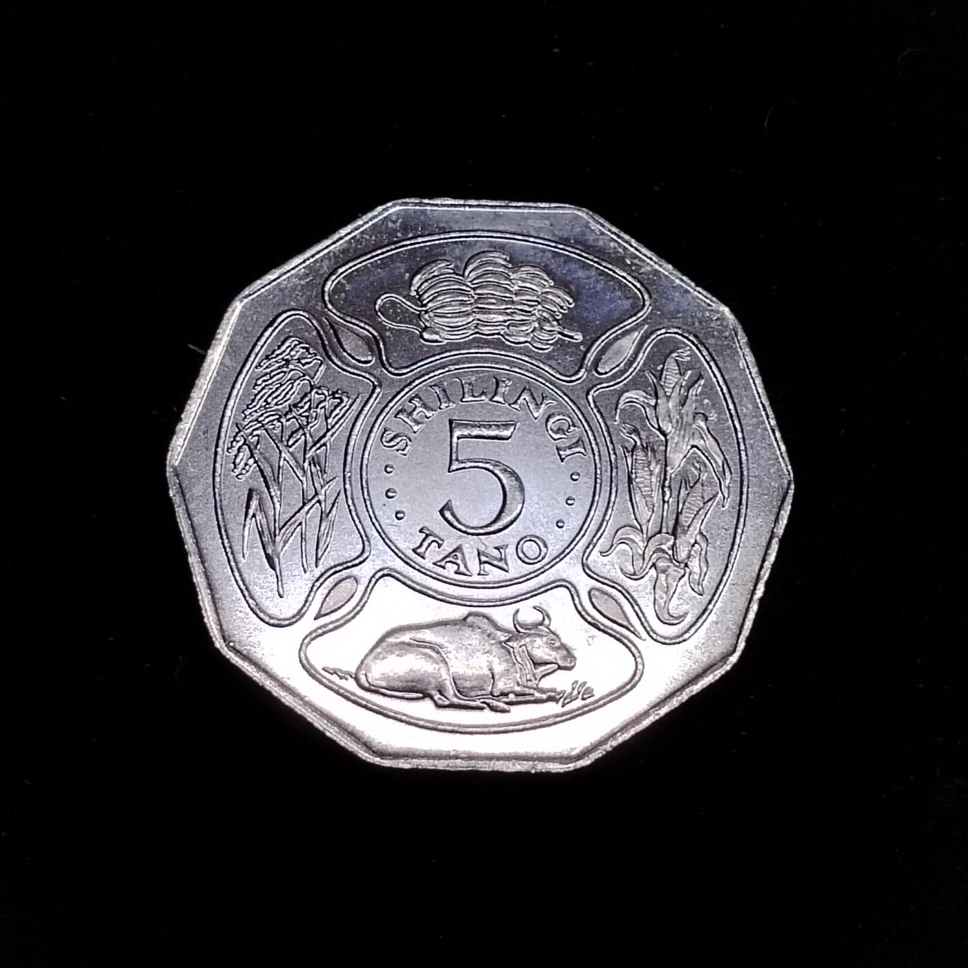 20240714 坦桑尼亚