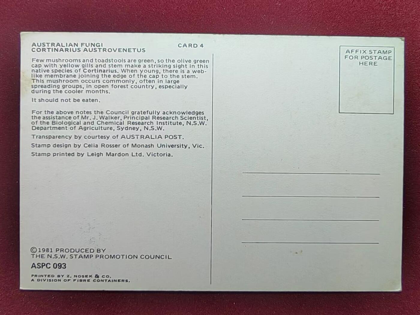 联合阁邮币社™ ——“多国邮品” 澳大利亚1981 鸡腿菇极限片