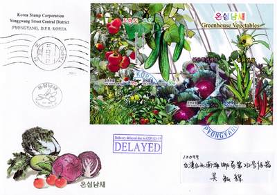 7月16日天天骨折大会2020年朝鲜封（疫情期间）专场 - 2020朝鲜《温室蔬菜》无齿小全张官封 首日实寄封 一套一枚
