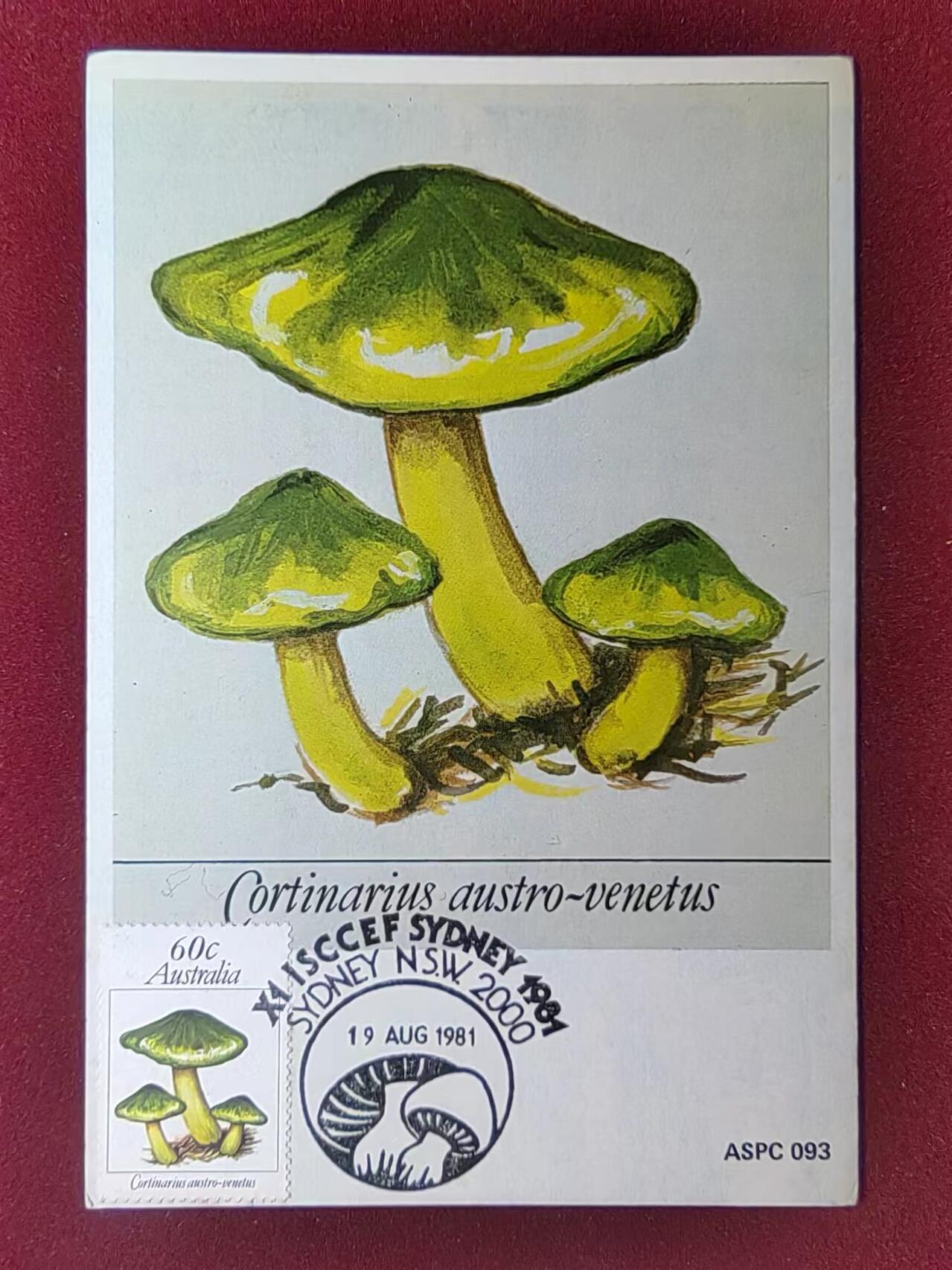 联合阁邮币社™ ——“多国邮品” 澳大利亚1981 鸡腿菇极限片