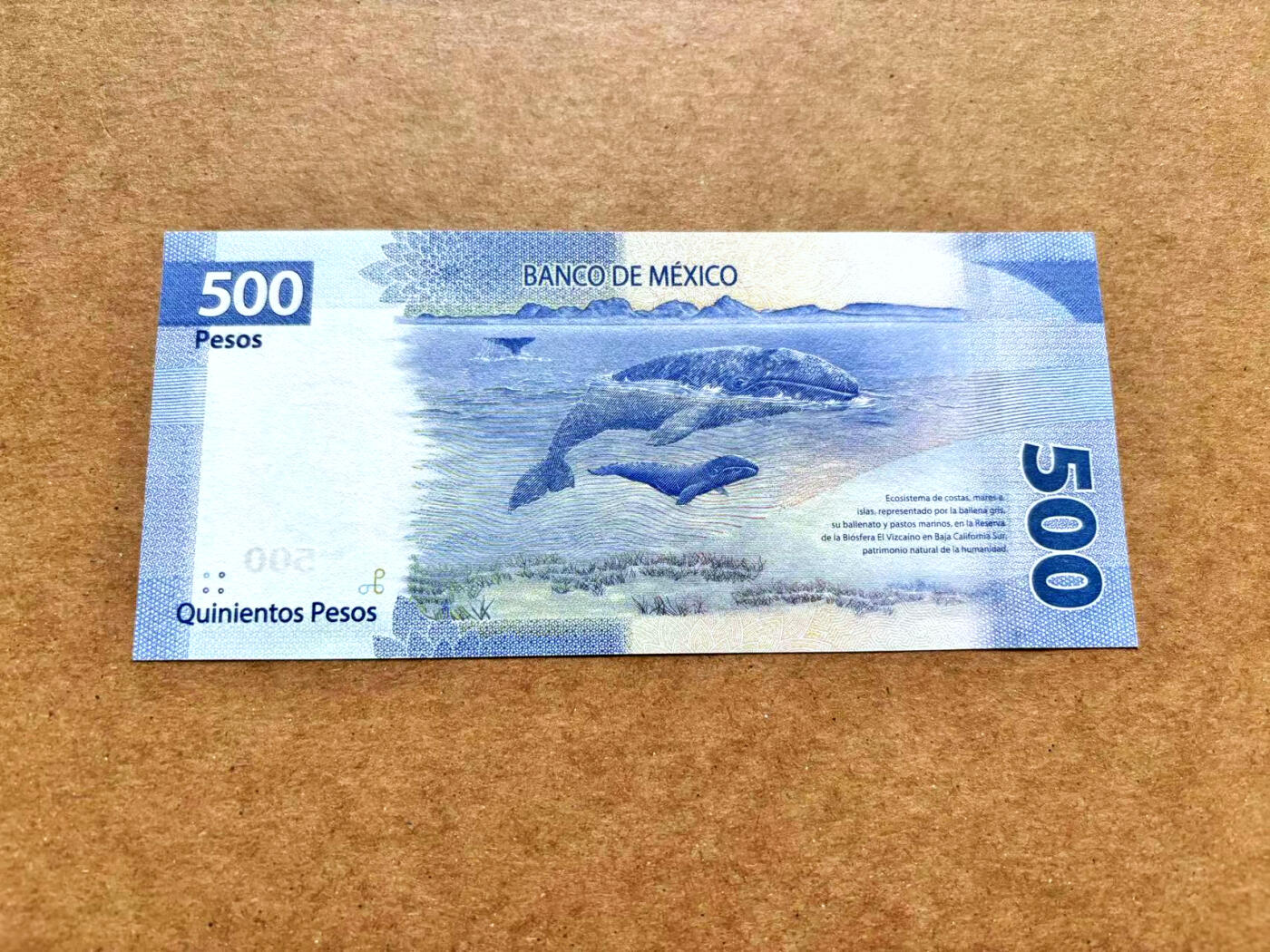 【Blue Auction】✨世界纸币精拍第506期【精】 【111豹子号无47】墨西哥 500比索 全新UNC